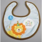 1st Birthday Boy Bib