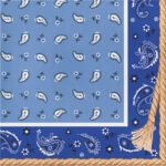 Bandana Lunch Napkin 16/pack