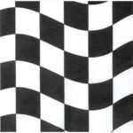 Black & White Check Lunch Napkin