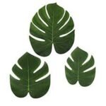 Tropical Monstera Large Green Leaf 15pcs (3 dif sizes)