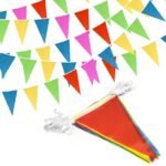 Multicolour Pennant Flag Banner (13 x 18cm)