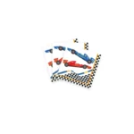 Race Car Napkin 16/pack