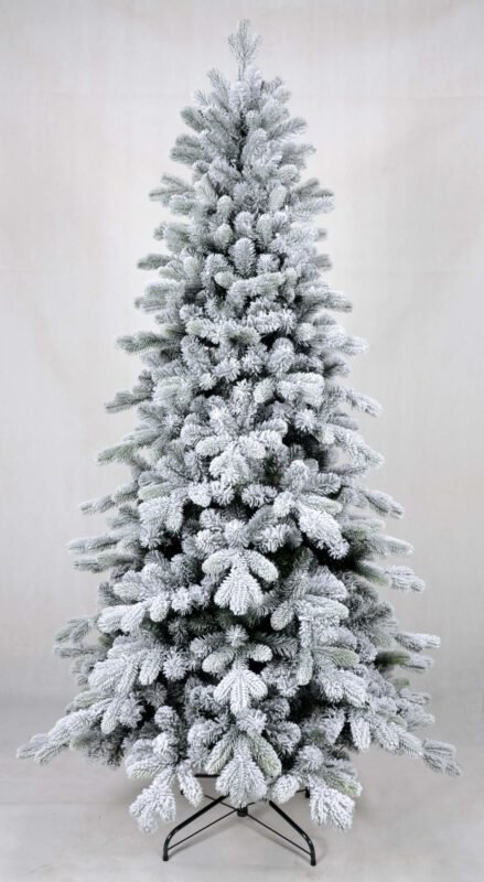 WhatsApp Image 2025-10-17 at 17.38.30_5c9e5201