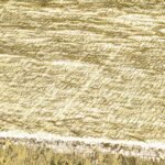 Metallic Gold Table Cover