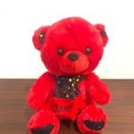 40cm Red Teddy With Neck Scarf