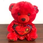 40cm Red Teddy Bear With I love You