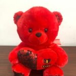 40cm Red & Black Flower Heart Teddy Bear
