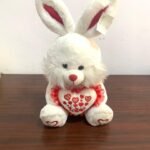 30cm Red & White Love Bunny