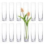 Clear Glass Cylinder Vase 60x250mm
