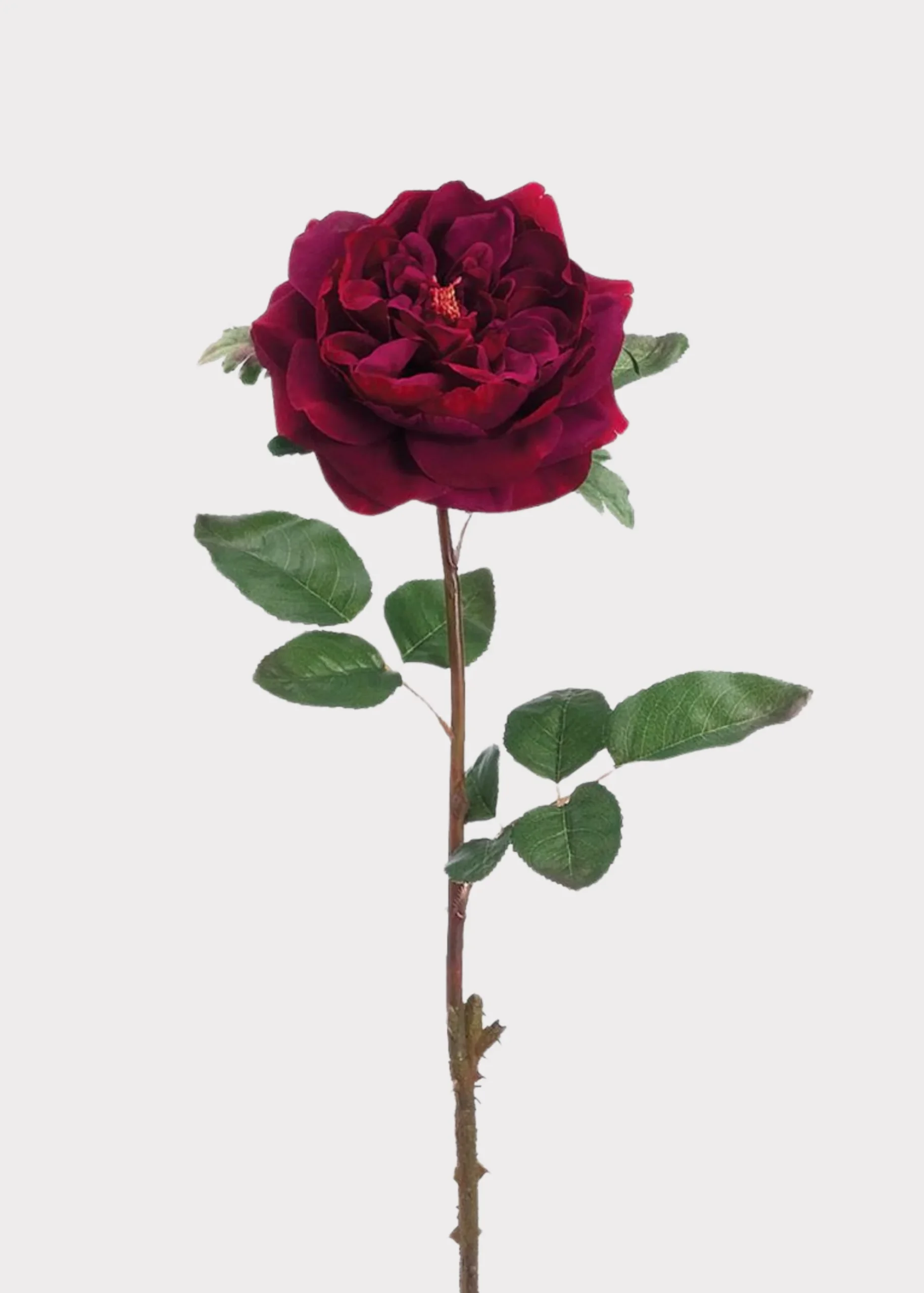 PDP-SLK-HSR976-WI 10cm Wine Rose Flower - Image 1