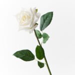 10cm White Rose Flower